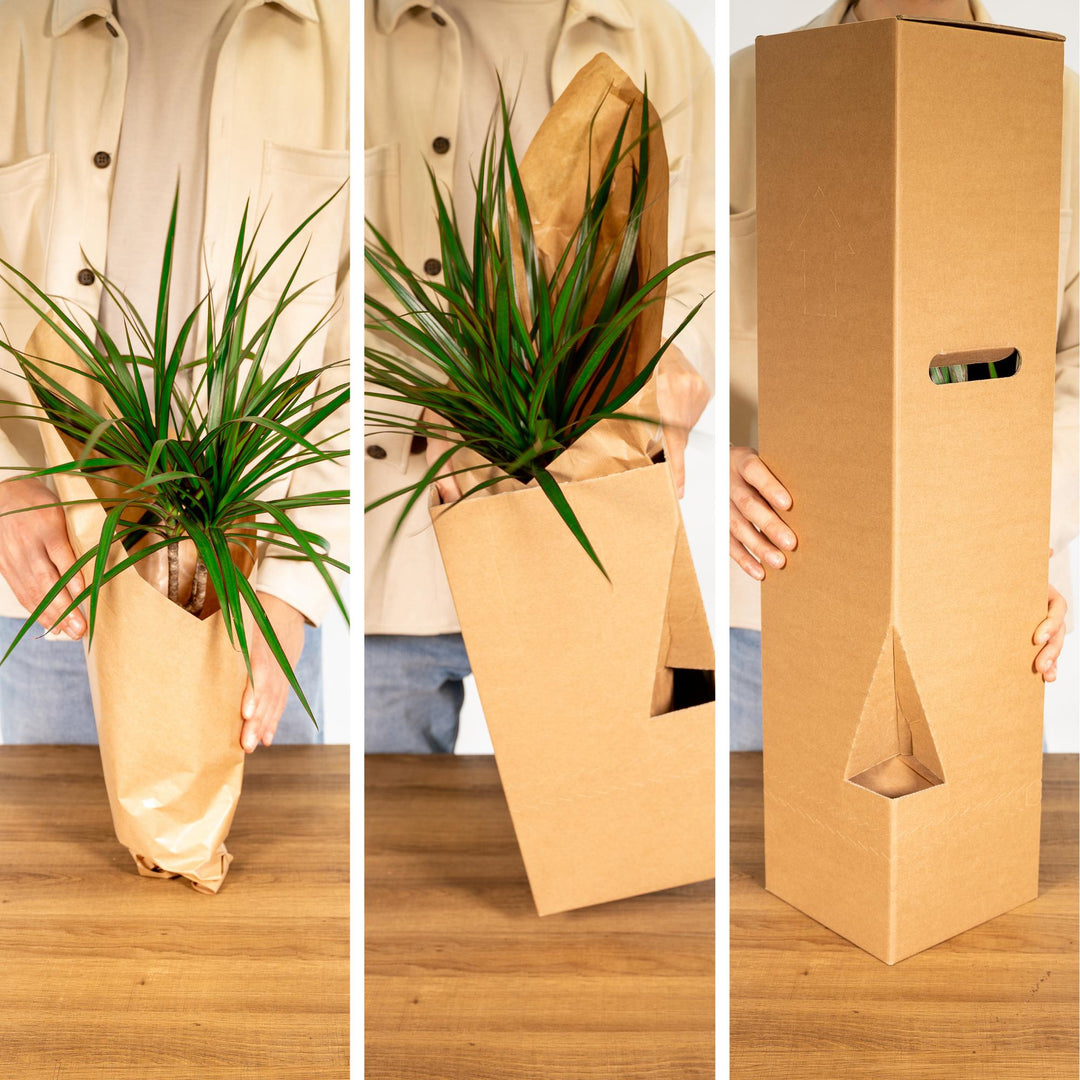 Outsider box - Ø12cm - 12x styled in an Irish home interior