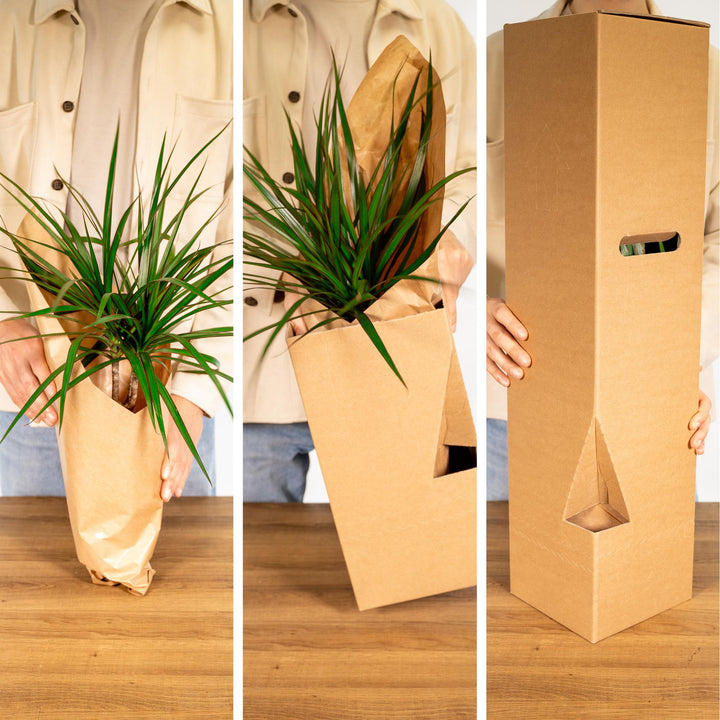 Outsider box - Ø12cm - 12x styled in an Irish home interior