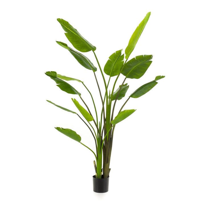 Large Faux Strelitzia Nicolai Artificial Plant | 180 cm (6 ft) Tropical Home Decor