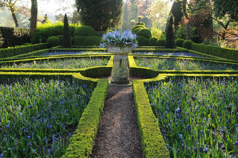 48x Buxus Sempervirens - ↕10-25cm - Ø9cm