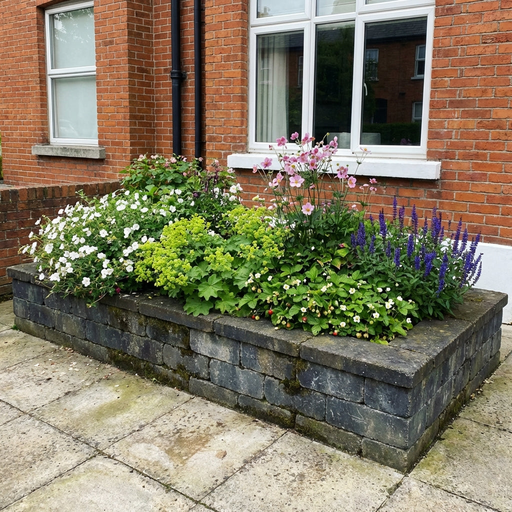 Perennial Border Package Copenhagen styled in an Irish home interior