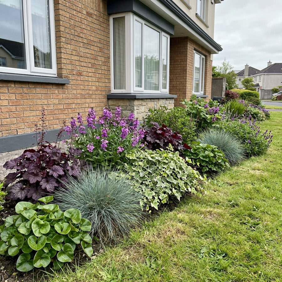 Mixed perennial border with purple phlox, dark heuchera, blue fescue grass, and chartreuse hostas planted against brick…