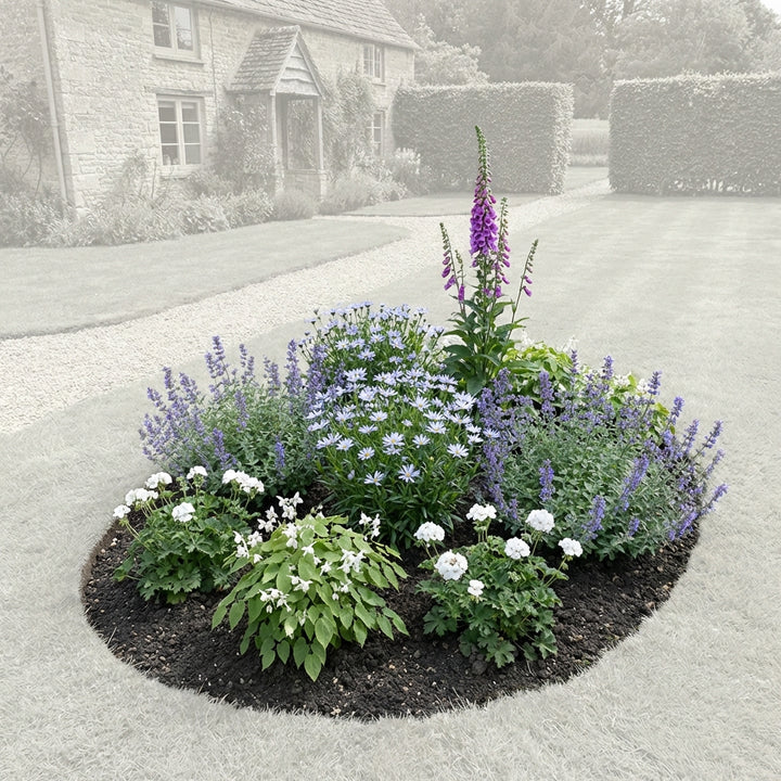 Perennial Border Package Luxembourg — healthy root ball and nursery pot ready to ship from Ireland
