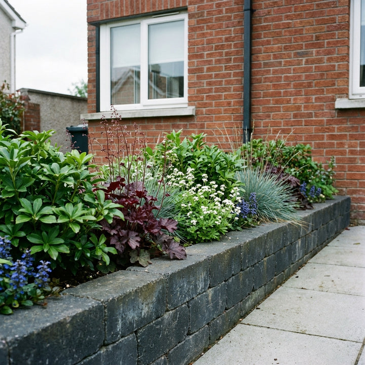 Perennial Border Package Budapest styled in an Irish home interior
