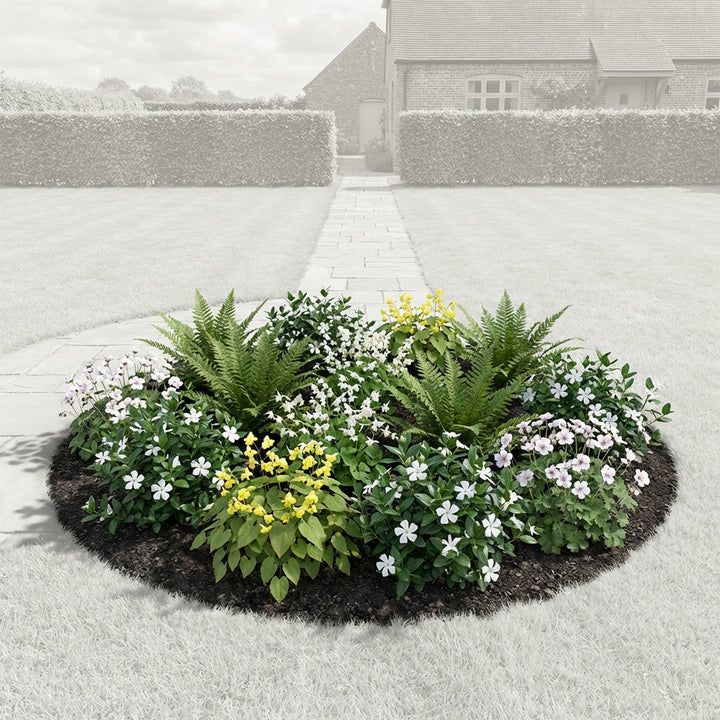 Perennial Border Package Lisbon — healthy root ball and nursery pot ready to ship from Ireland