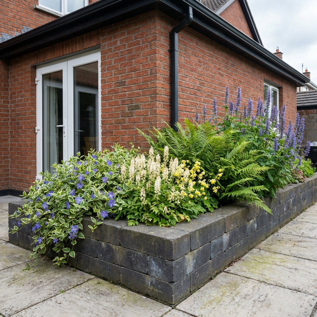 Perennial Border Package Riga styled in an Irish home interior