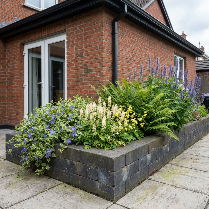 Perennial Border Package Riga styled in an Irish home interior
