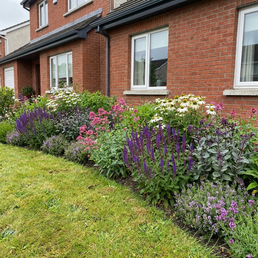Mixed perennial border with purple lavender spikes, pink phlox clusters, white coneflowers and silvery foliage plants…
