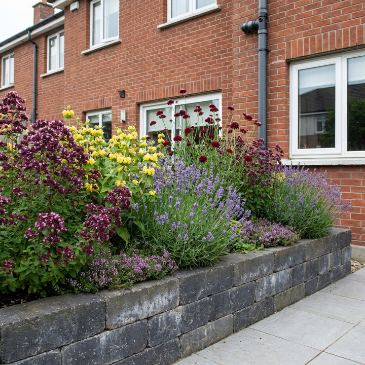 Perennial Border Package Hamburg styled in an Irish home interior