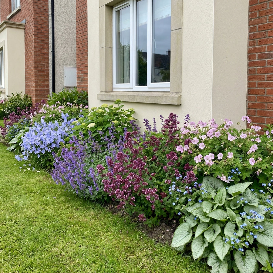 Mixed perennial border with blue flax, dark purple salvia, magenta phlox and pink geraniums planted against brick house