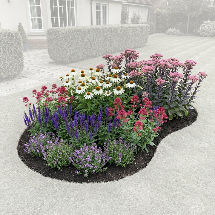 Perennial Border Package Zurich — healthy root ball and nursery pot ready to ship from Ireland