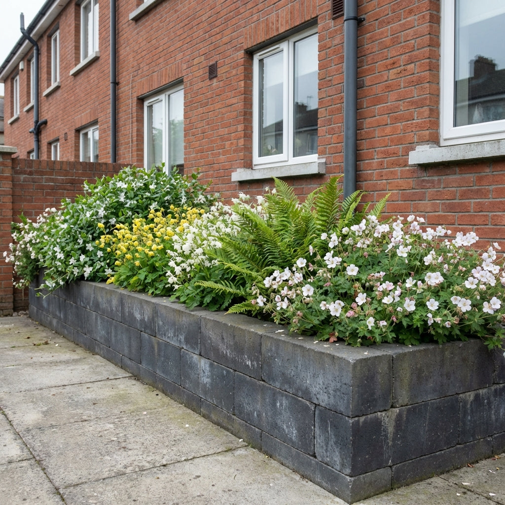 Perennial Border Package Lisbon styled in an Irish home interior