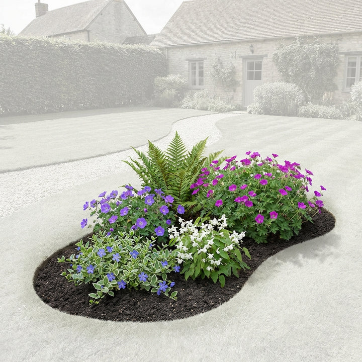 Perennial Border Package Rome — healthy root ball and nursery pot ready to ship from Ireland