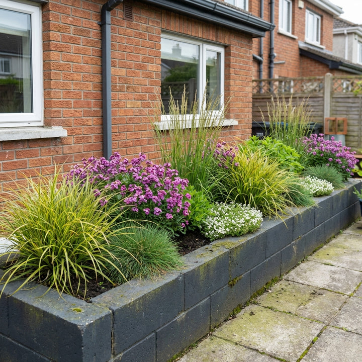 Perennial Border Package Zagreb styled in an Irish home interior