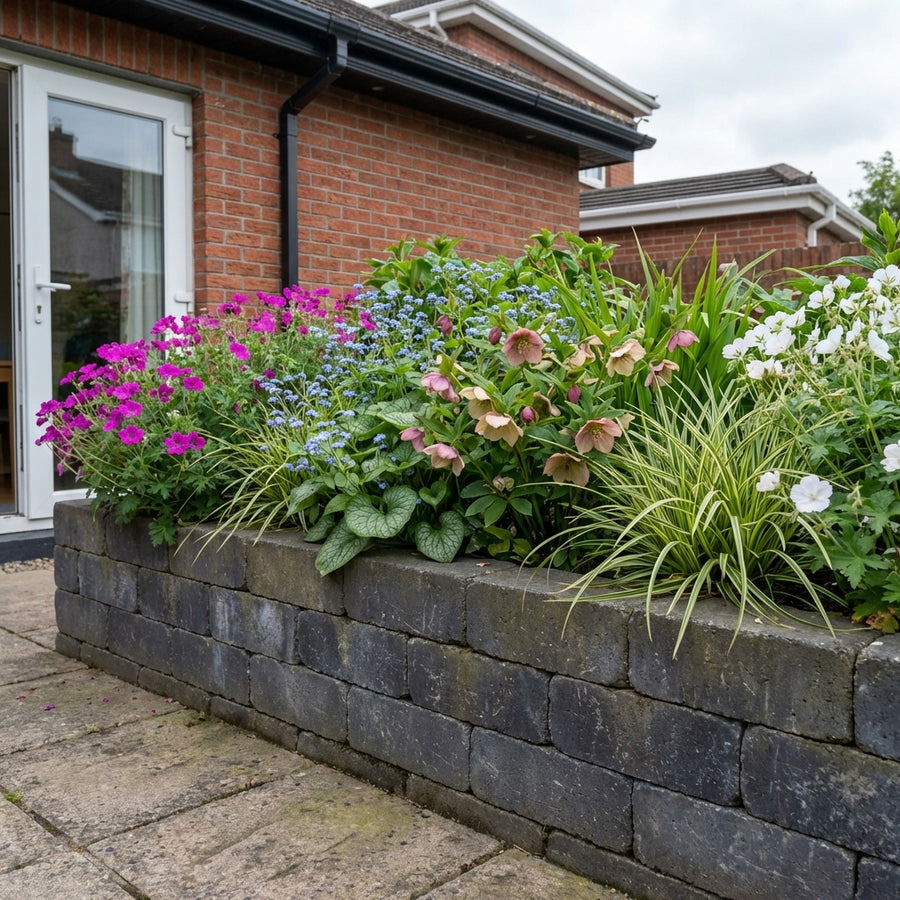 Perennial Border Package Munich planted in dark stone raised bed against brick house, featuring magenta phlox, blue…