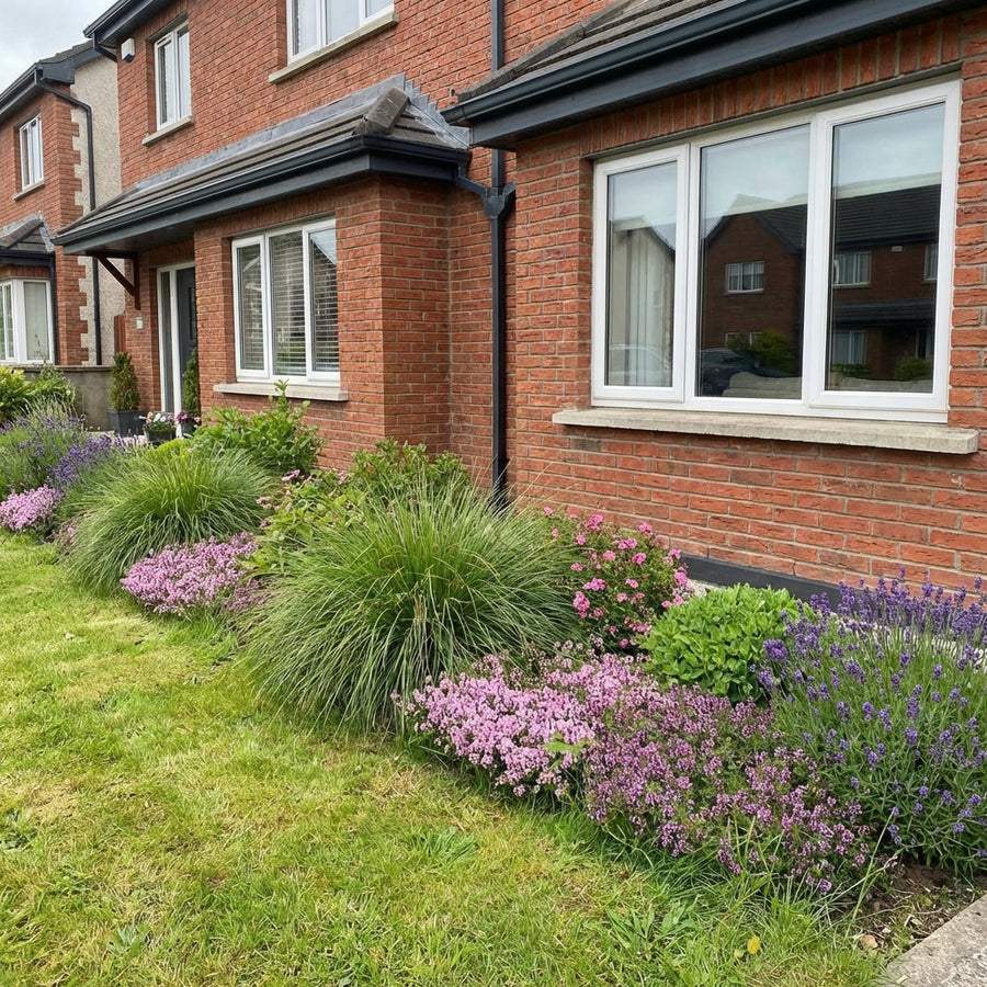 Perennial border planting scheme with pink Dianthus, purple lavender, ornamental grasses and green foliage plants against…