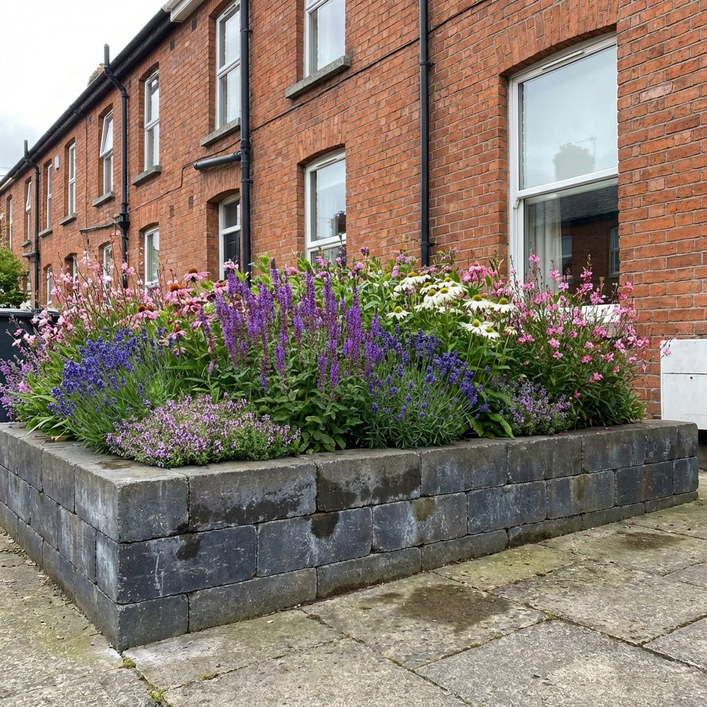 Perennial Border Package Moscow styled in an Irish home interior