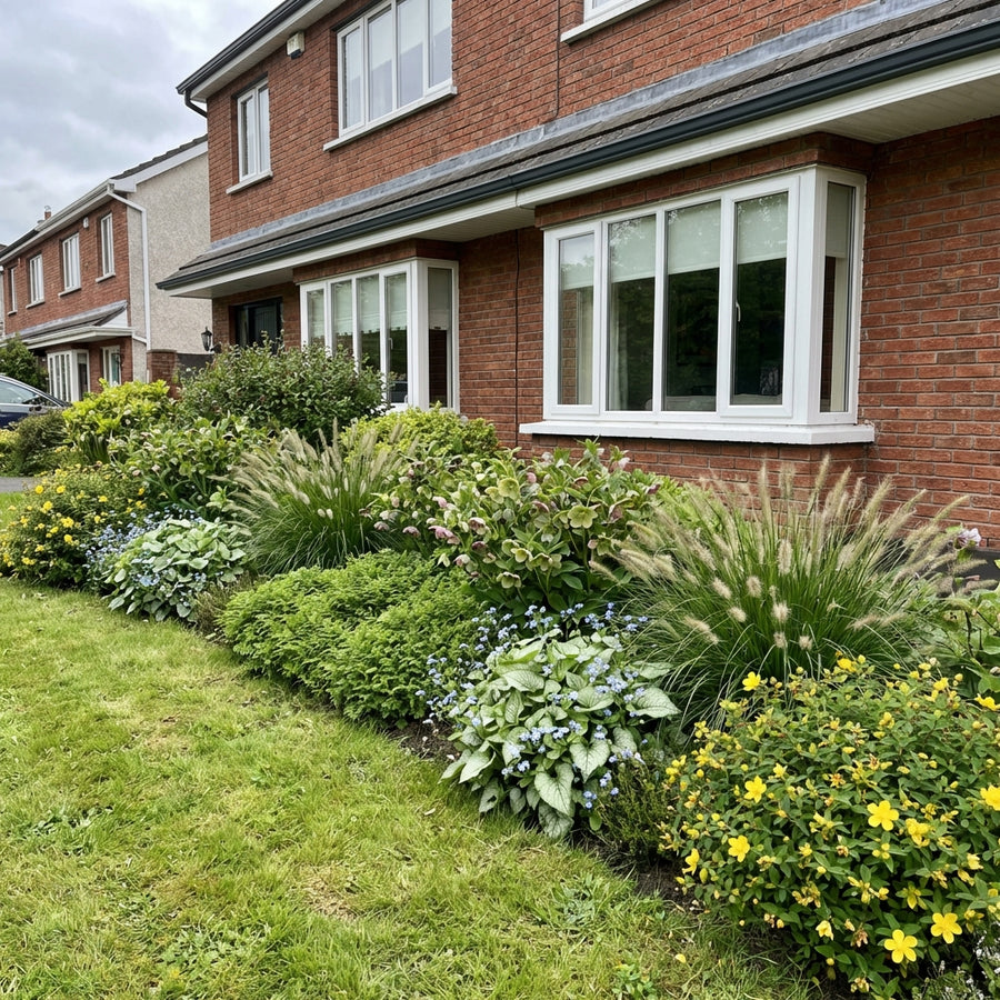 Perennial border planting against brick house, featuring ornamental grasses, silver-leafed plants, blue flowers and…