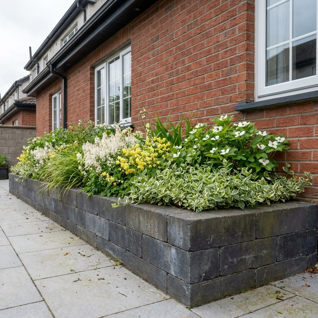 Perennial Border Package Helsinki styled in an Irish home interior