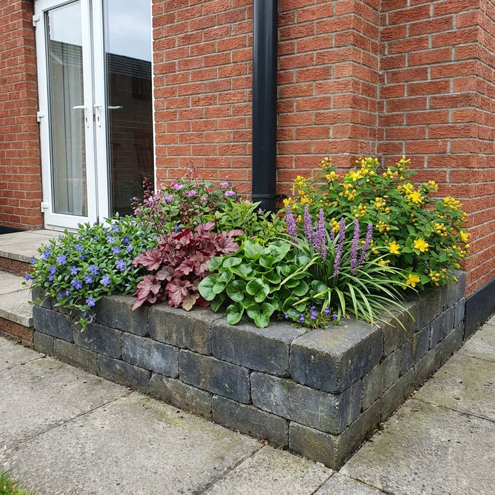 Perennial Border Package Bratislava styled in an Irish home interior