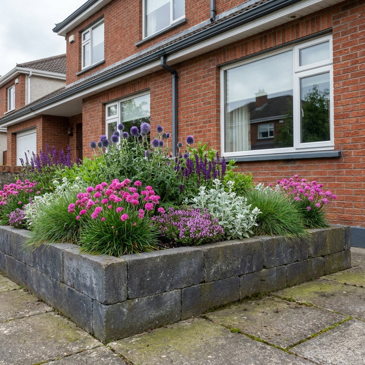 Perennial Border Package Porto styled in an Irish home interior