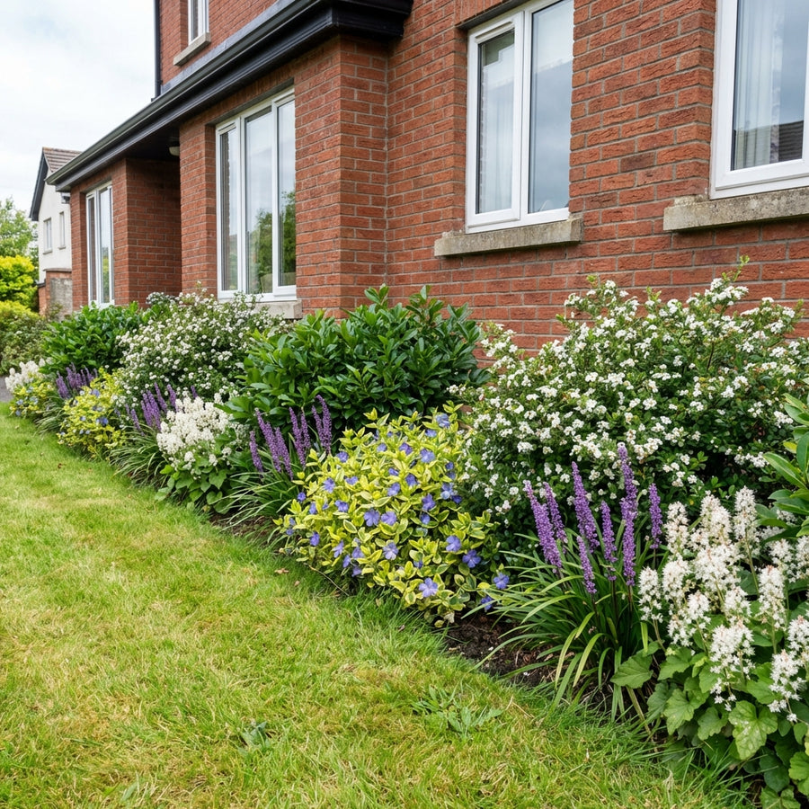 Perennial border display against red brick house with white-flowered plants, purple liatris spikes, blue flowers and…