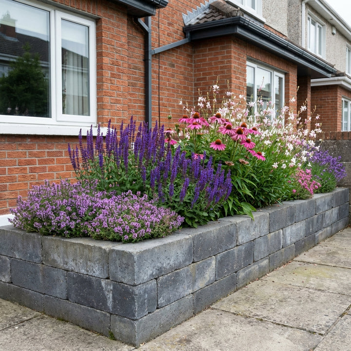 Perennial Border Package Braga styled in an Irish home interior