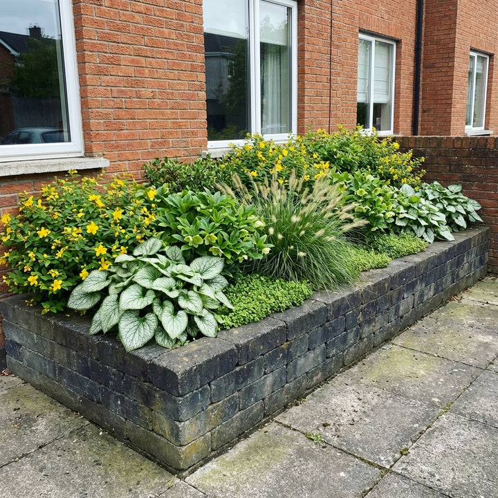 Perennial Border Package Warsaw styled in an Irish home interior