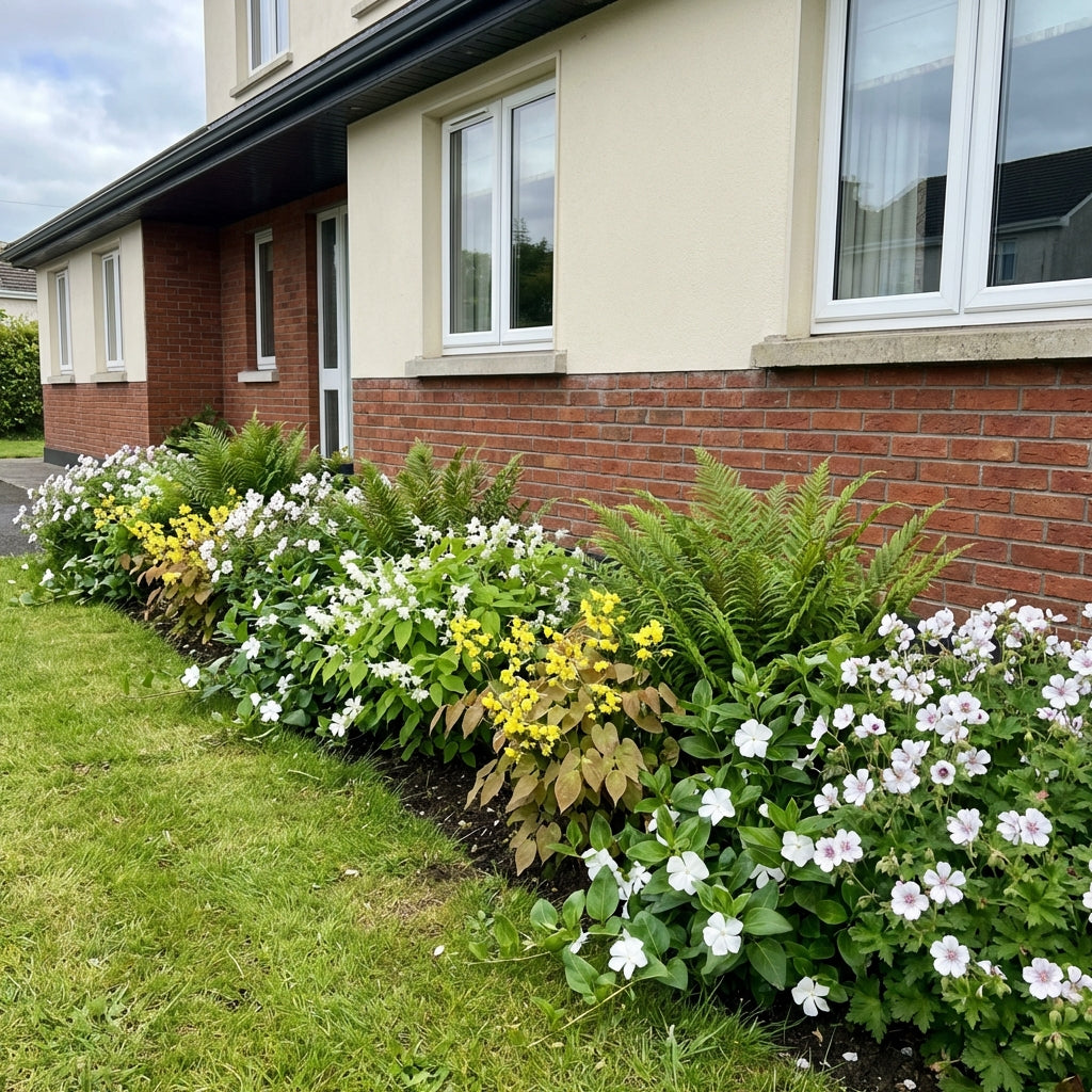 Healthy foliage and strong roots close-up of Perennial Border Package Lisbon