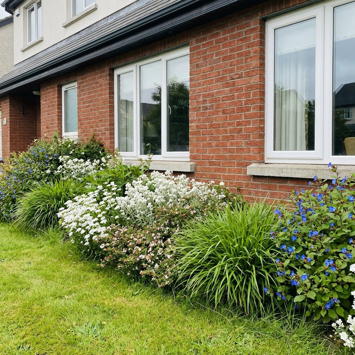 Perennial Border Package Rhodes styled in an Irish home interior