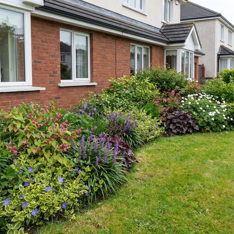 Mixed perennial border with purple liatris, pink astilbe, blue-flowering plants, dark-leaved heuchera and white daisies…